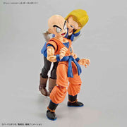 FR - Krillin