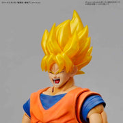 FR - Legendary Super Saiyan Broly