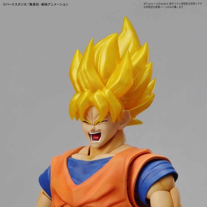 FR - Legendary Super Saiyan Broly