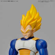 FR - Legendary Super Saiyan Broly
