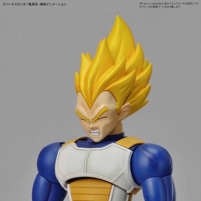 FR - Legendary Super Saiyan Broly