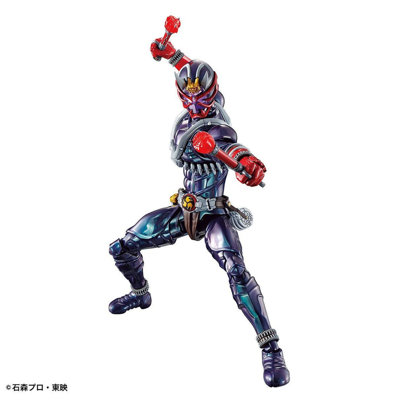 FR - Masked Rider Hibiki