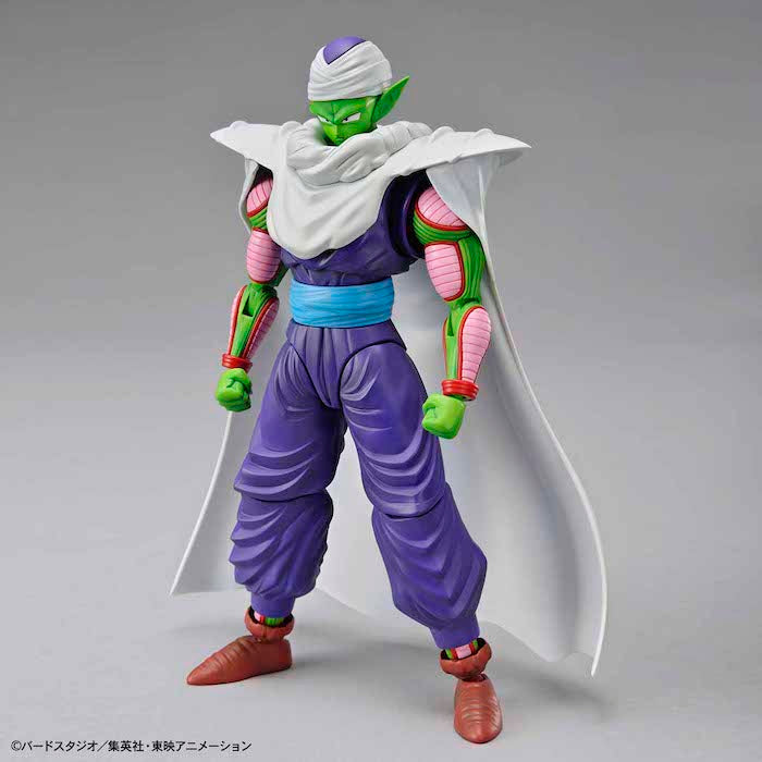 FR - Piccolo