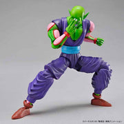 FR - Piccolo