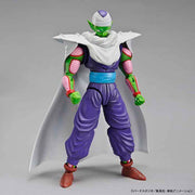 FR - Piccolo