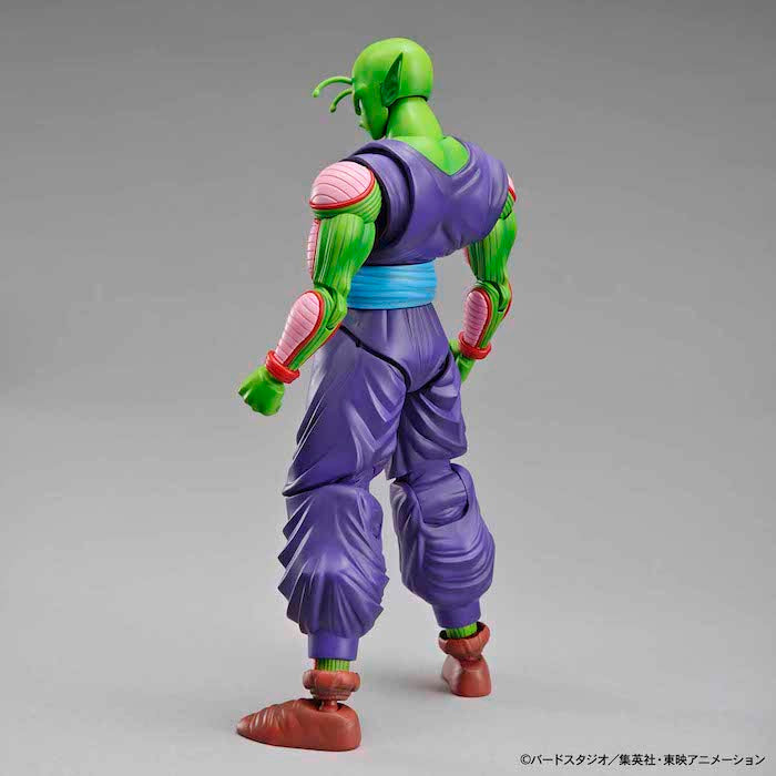 FR - Piccolo