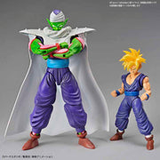 FR - Piccolo
