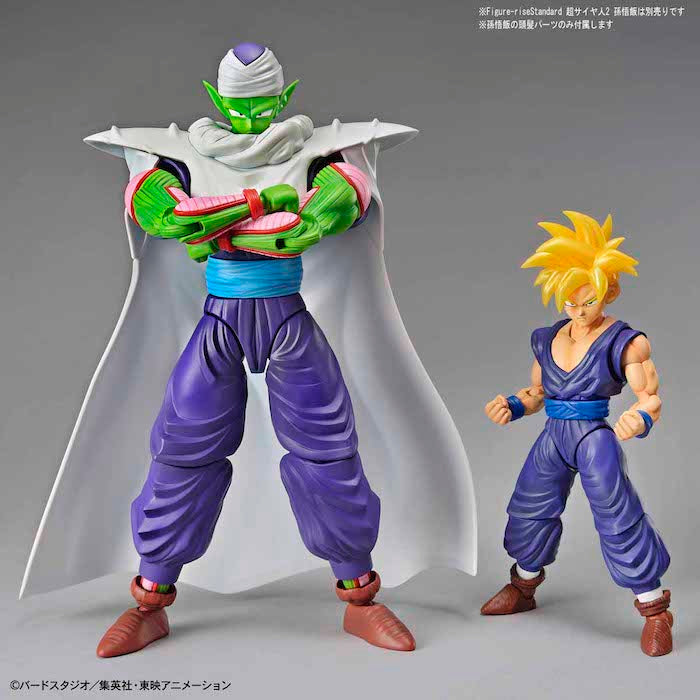 FR - Piccolo