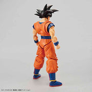 FR - Son Goku