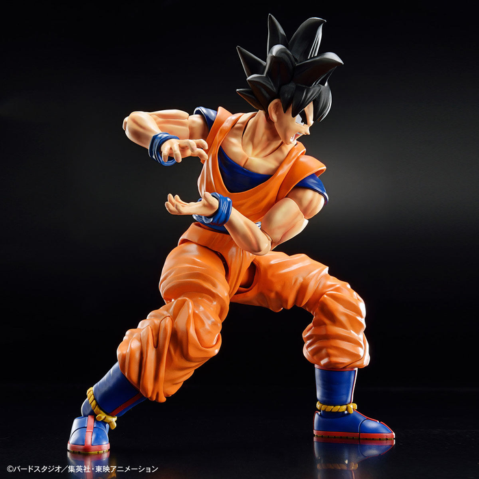 FR - Son Goku (New Spec Ver.) Dragon Ball Z