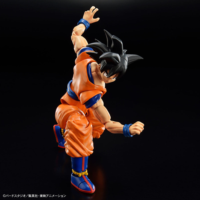 FR - Son Goku (New Spec Ver.) Dragon Ball Z