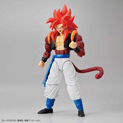 FR - Super Saiyan 4 Gogeta