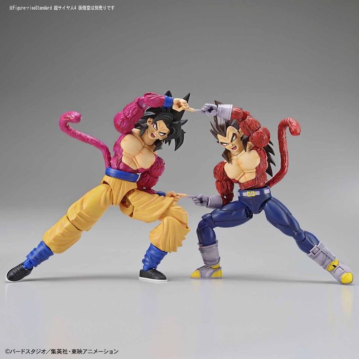 FR - Super Saiyan 4 Vegeta
