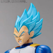 FR - Super Saiyan Broly Fullpower