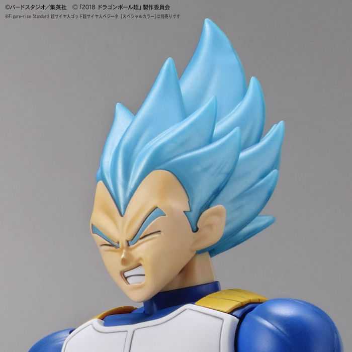 FR - Super Saiyan Broly Fullpower