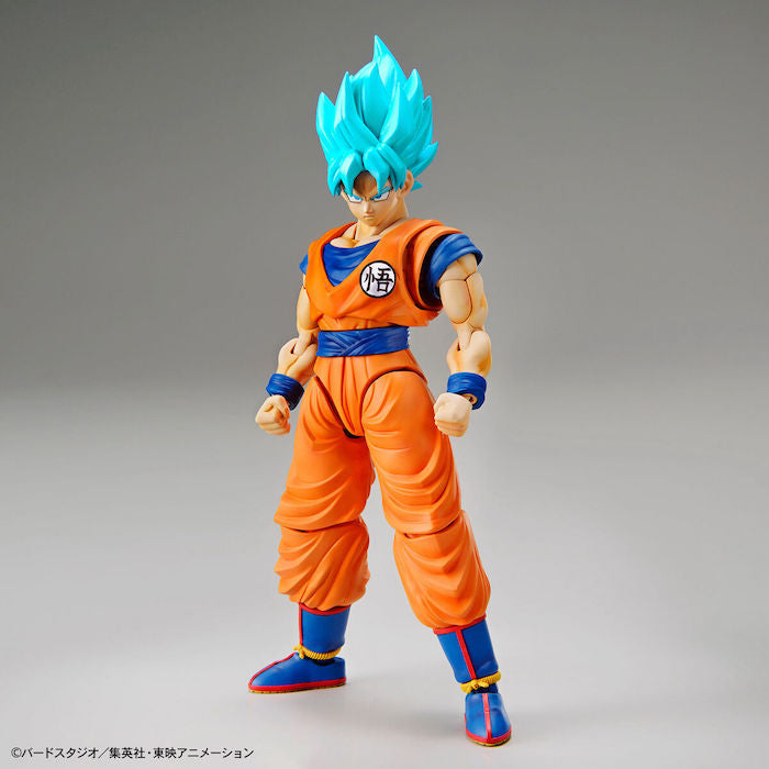 FR - Super Saiyan God Son Goku