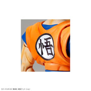 FR - Super Saiyan God Son Goku