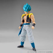 FR - Super Saiyan God Super Saiyan Gogeta
