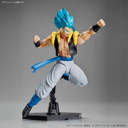 FR - Super Saiyan God Super Saiyan Gogeta