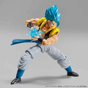 FR - Super Saiyan God Super Saiyan Gogeta