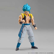 FR - Super Saiyan God Super Saiyan Gogeta