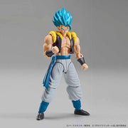 FR - Super Saiyan God Super Saiyan Gogeta