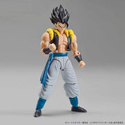 FR - Super Saiyan God Super Saiyan Gogeta