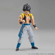 FR - Super Saiyan God Super Saiyan Gogeta