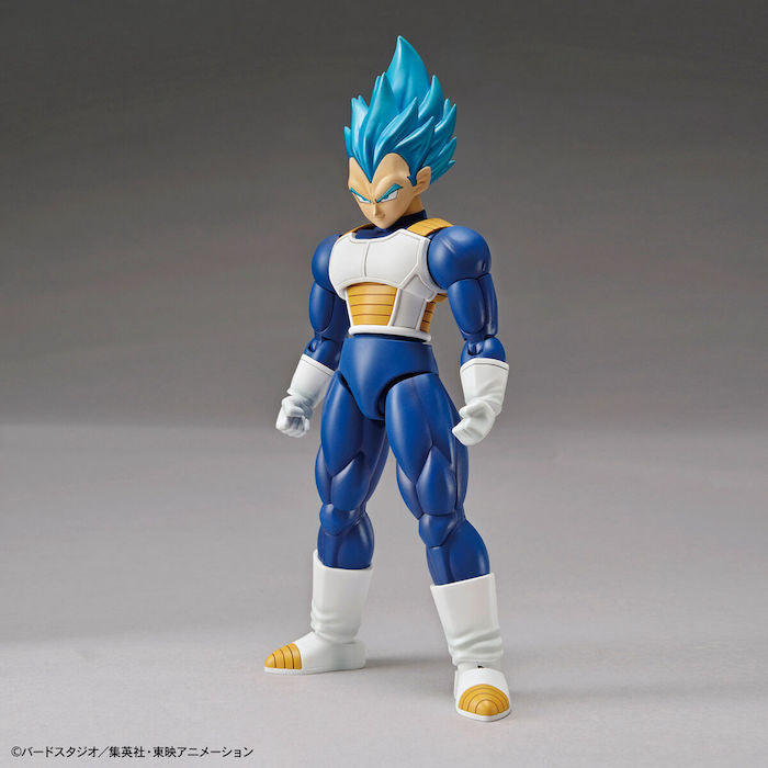 FR - Super Saiyan God Super Saiyan Vegeta