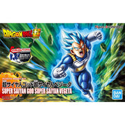 FR - Super Saiyan God Super Saiyan Vegeta