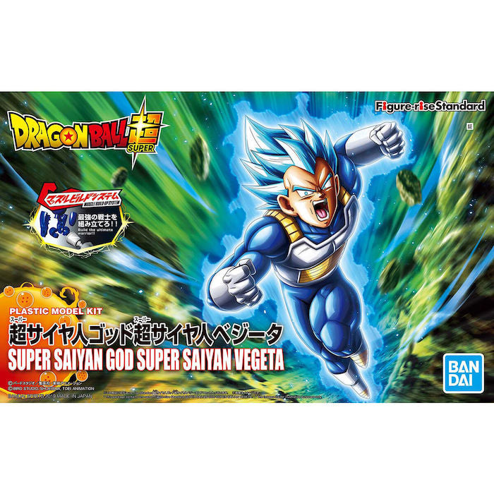 FR - Super Saiyan God Super Saiyan Vegeta