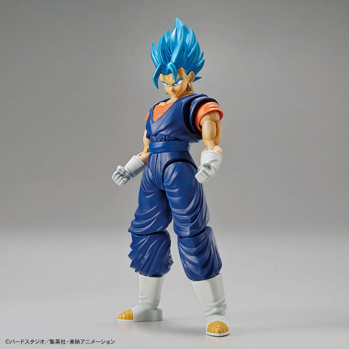 FR - Super Saiyan God Vegetto