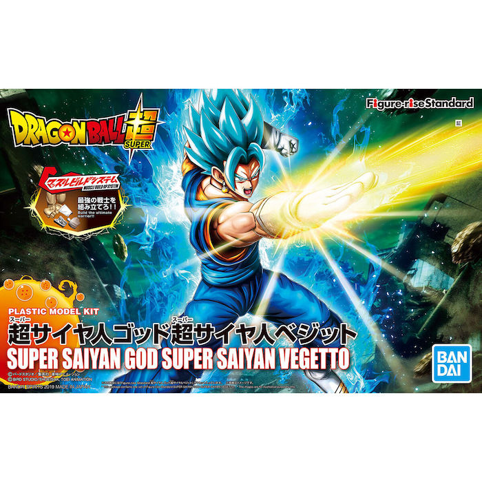 FR - Super Saiyan God Vegetto