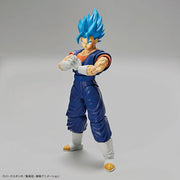 FR - Super Saiyan God Vegetto