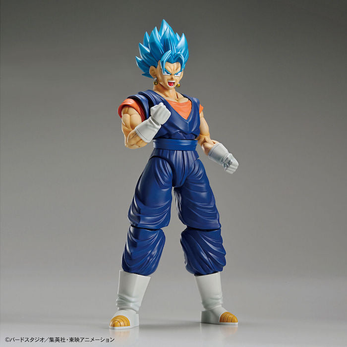 FR - Super Saiyan God Vegetto