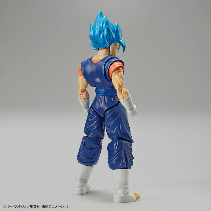 FR - Super Saiyan God Vegetto