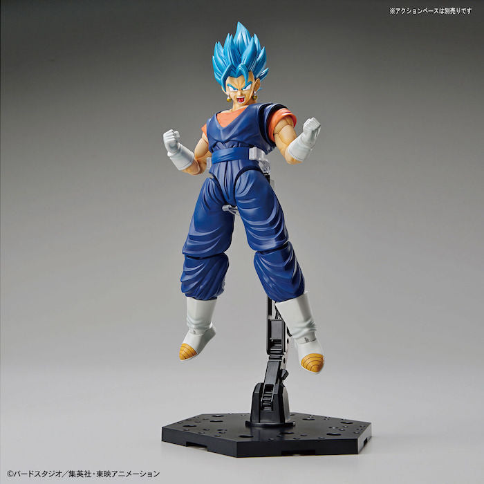 FR - Super Saiyan God Vegetto