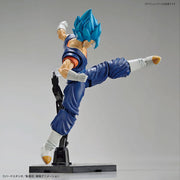 FR - Super Saiyan God Vegetto