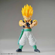 FR - Super Saiyan Gotenks