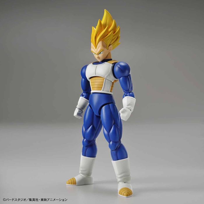 FR - Super Saiyan Vegeta