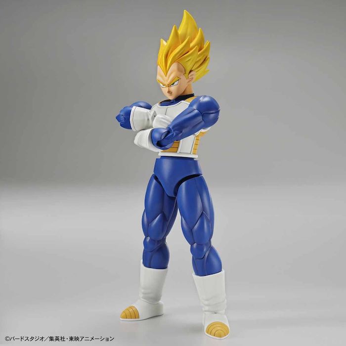 FR - Super Saiyan Vegeta