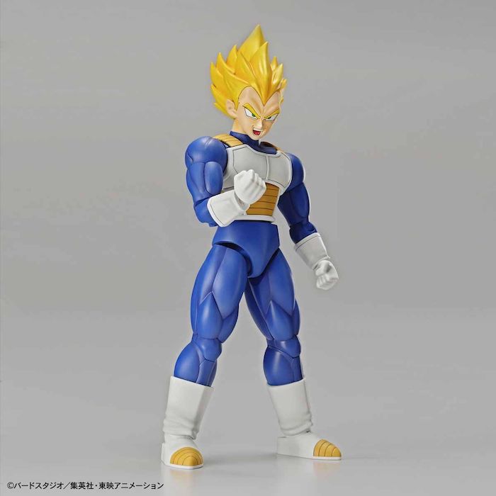 FR - Super Saiyan Vegeta