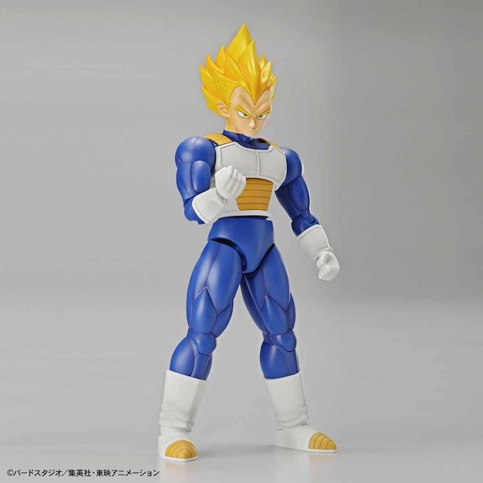 FR - Super Saiyan Vegeta