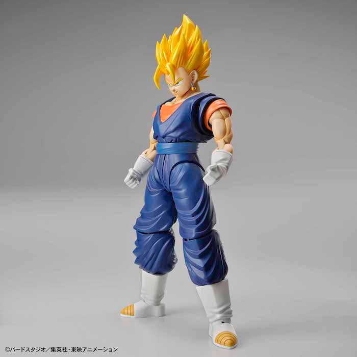 FR - Super Saiyan Vegetto