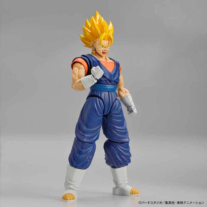 FR - Super Saiyan Vegetto