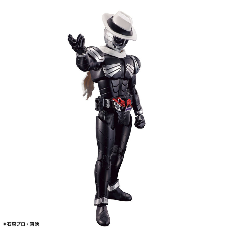 FR Kamen Rider Skull