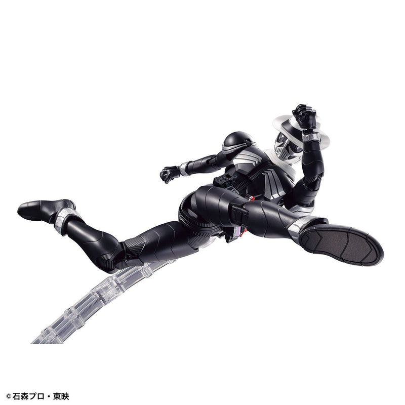 FR Kamen Rider Skull