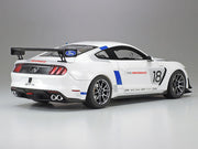 Ford Mustang GT4 1/24