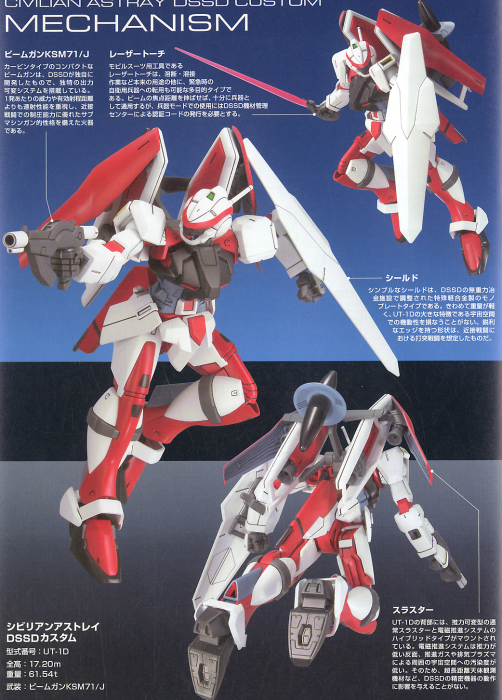 HGCE 049 Civilian Astray DSSD Custom 1/144