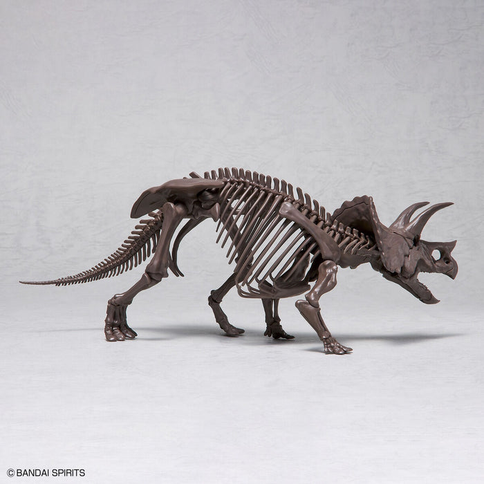 Imaginary Skeleton Triceratops 1/32